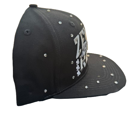 Zenith Chosen - 6 Panel