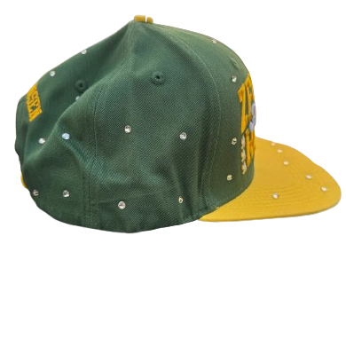 Zenith Chosen - 6 Panel