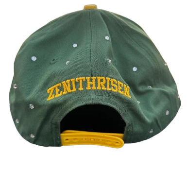 Zenith Chosen - 6 Panel
