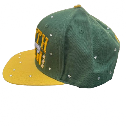 Zenith Chosen - 6 Panel